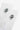 White-Socks-Culturewise